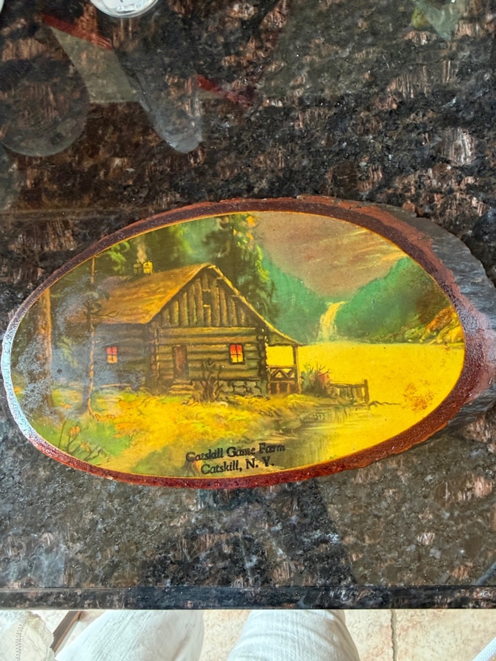 Hand-Painted Log Cabin Plaque - Yellow & Brown Landscape